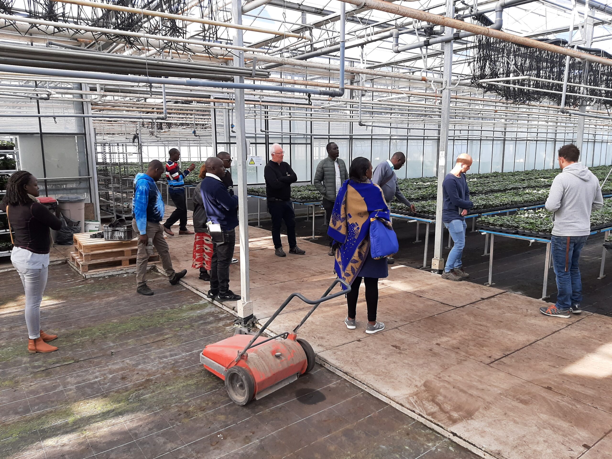 Uganda green house training