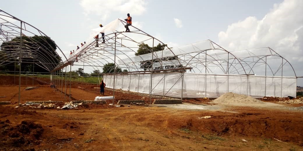 Uganda green house construction