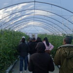 Boland Greenhouse