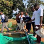 Field visit to Semaki Fish farms – fingerlings
