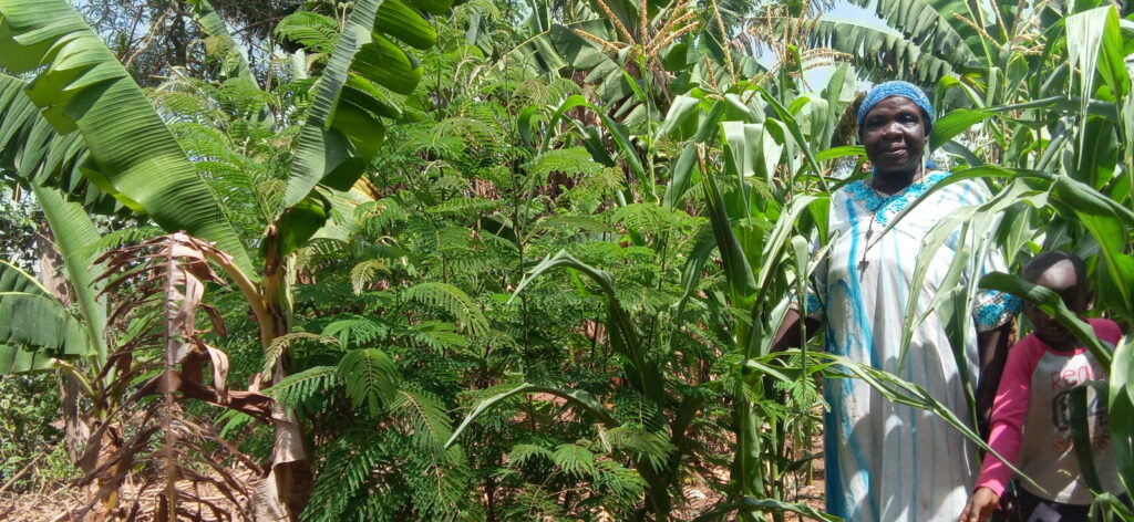 Foto 2. Ambangusii, Mary Consolata-minimumtillage & agroforestry (2)