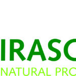 Girasol – Logo