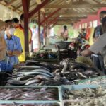 Fish market Turen