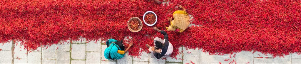 Bangladesh chilli