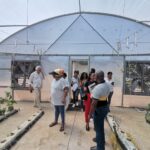The greenhouse visit