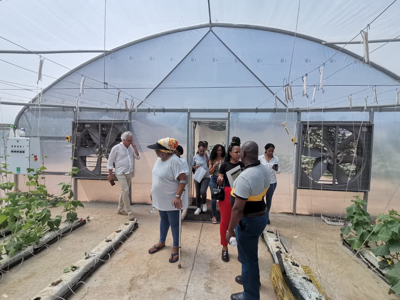The greenhouse visit